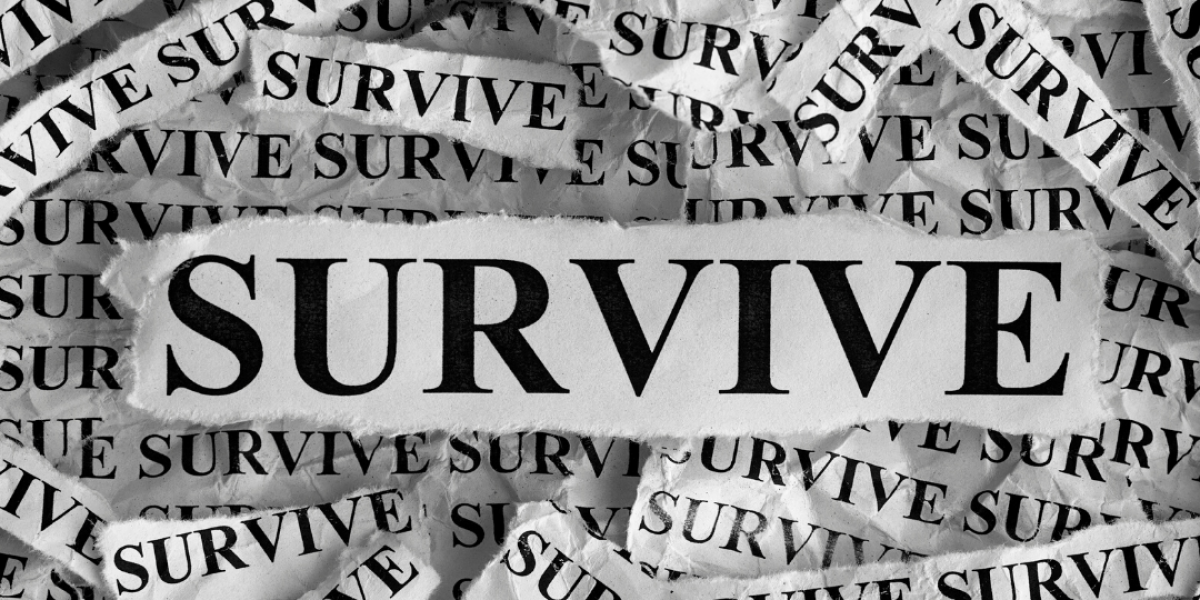 SMALL BUSINESS SURVIVAL GUIDE